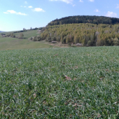 Ale je tu krásne :)