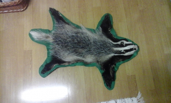 Podšity dokončený jazvec