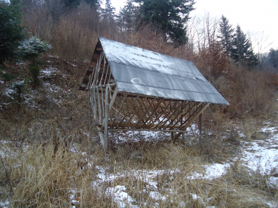 Takto sa stará o zver v čase núdze PZ Bukova Lipany