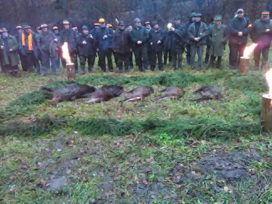 Slávnostný výrad na spoločnej poľovačke na diviačiu zver .