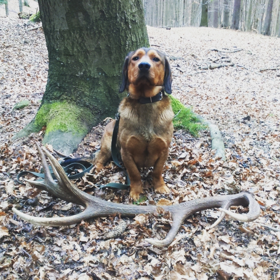 Dnes sa zadarilo 18torák