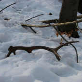 úlovok zo sčítania 1