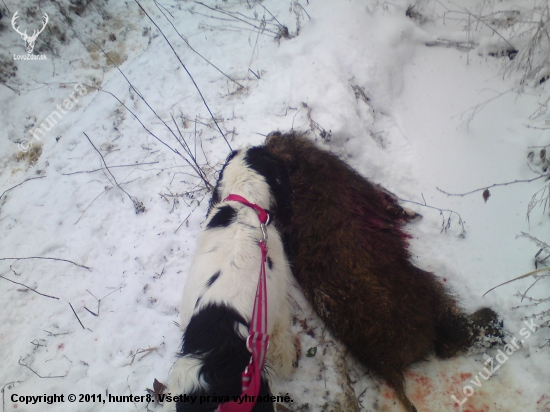 Aisha na nácvikoch dohľadávky
