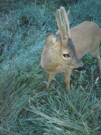 návšteva pod posedom