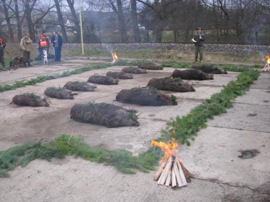 sobotňajší slávnostný výrad