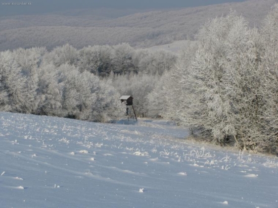 Posed all inclussive