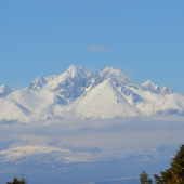 Vysoké Tatry
