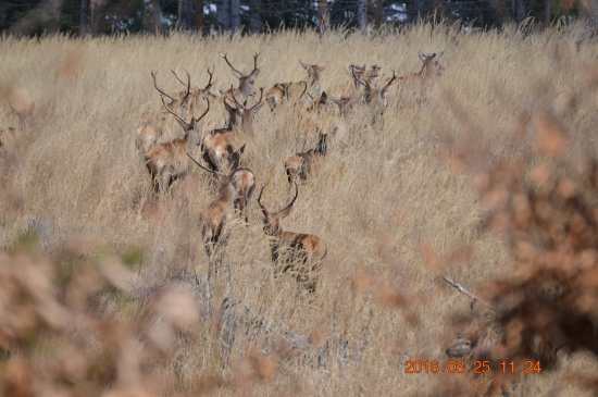 veľkonočný piatok