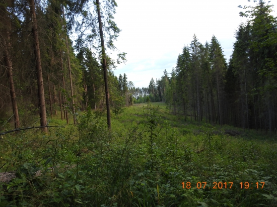 Tam kde clovek najde klud od reality