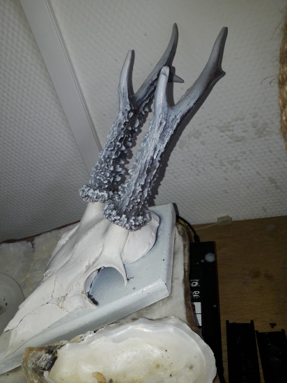 Aj takto končia naše ulovky