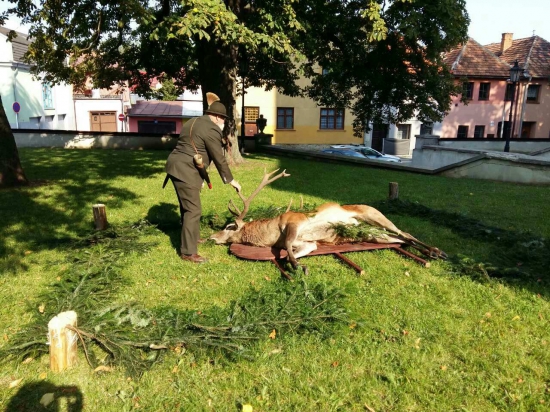 Aktuálne v kežmarku