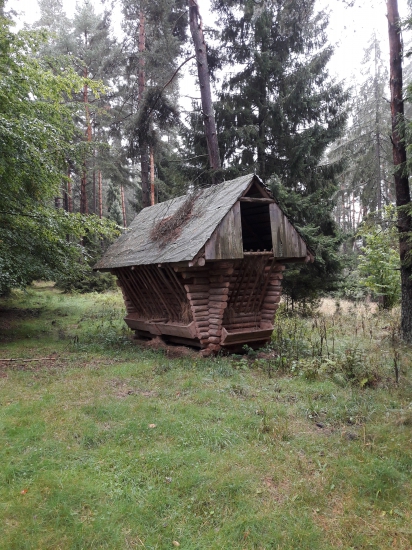 Prechádzka za hubami.