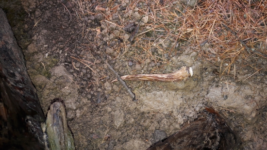 Sadol som si ku nemu