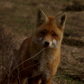Povtvorka na 2 metre