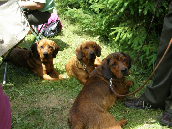 Chovateľská stanica z Jahodníckych Hájov