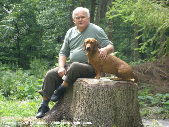 AJD-Bona Kostolný Háj