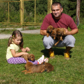 Z Jahodníckych Hájov