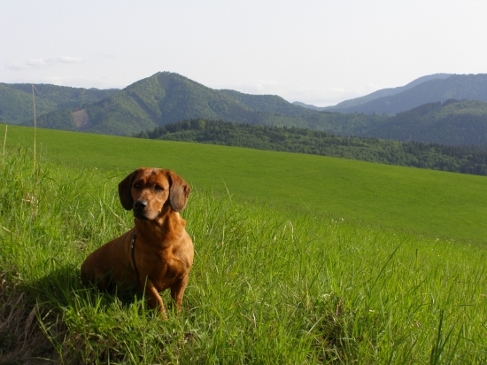 Prechádzka po Jasenskej Doline