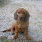 AJD Bona Kostolný Háj v druhom mesiaci