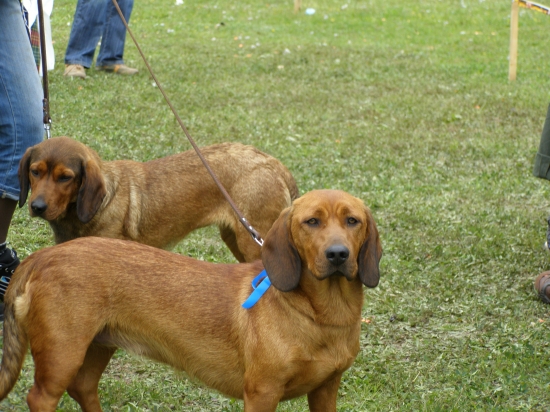 Bona Kostolný Háj - už matkou