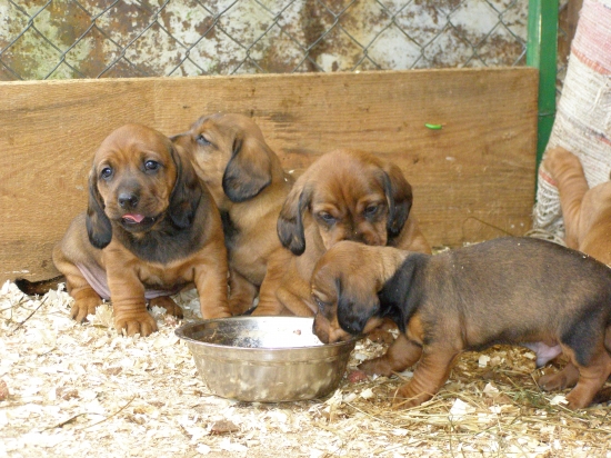 Chovná stanica z Jahodníckych Hájov