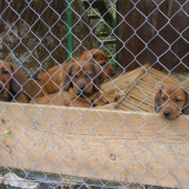 Chovná stanica z Jahodníckych Hájov