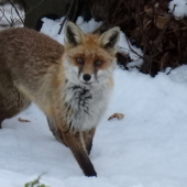 Stretnutie z blízka