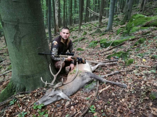 Jeleň
