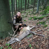 Jeleň
