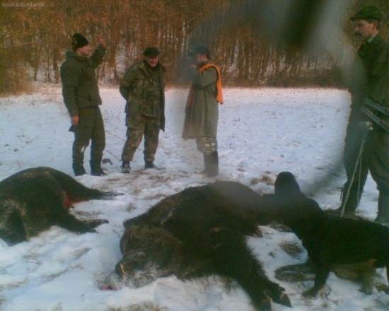 na spolocnej zima2008