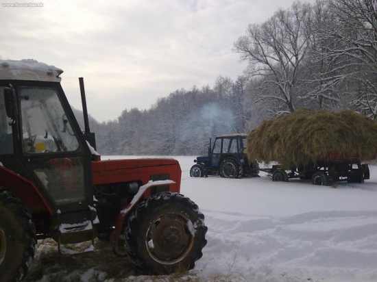 a ide sa prikrmovat 2