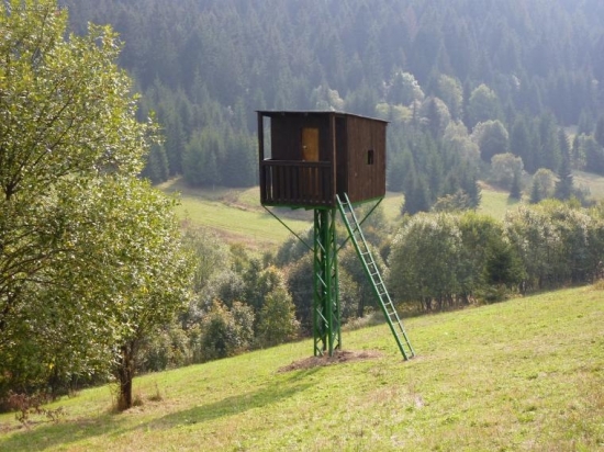 Ivanovi čelom,lesu chrbtom