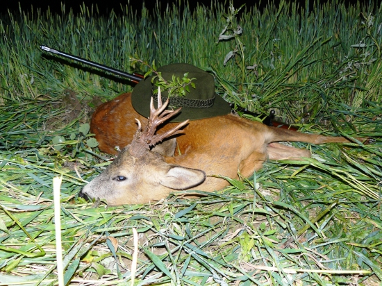 Diana bola švagrovi naklonená.