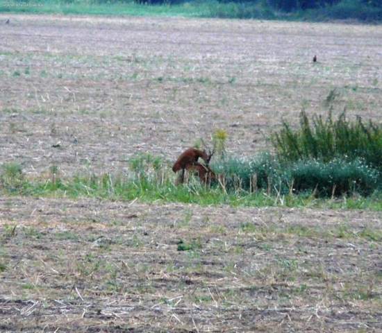 Foto ktoré si veľmi cením žiaľ kvalita je slabá