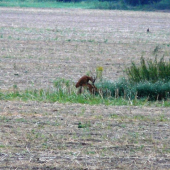 Foto ktoré si veľmi cením žiaľ kvalita je slabá