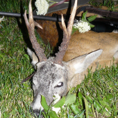 Kapitálná 3 V.T. z nášho PR