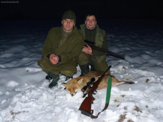 Medailový lišiačik