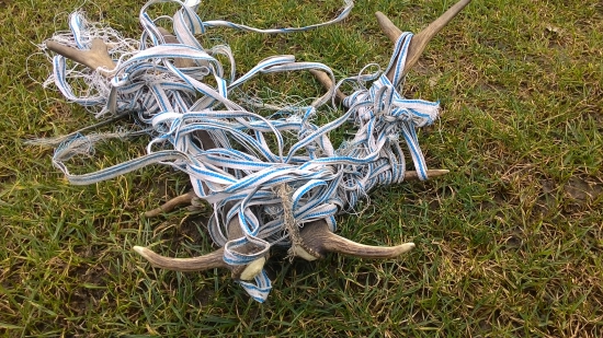 parožie z daniela 2VT