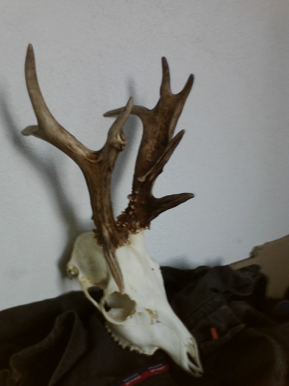 desattorák ako hrom