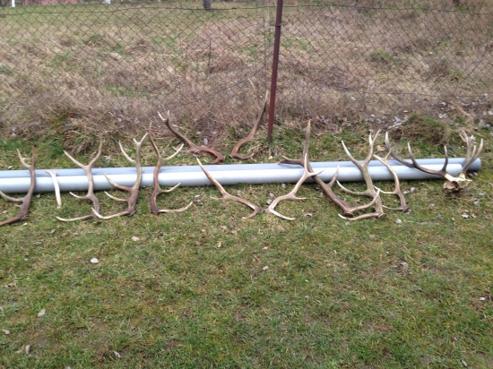 Keď sa zadarí...:)