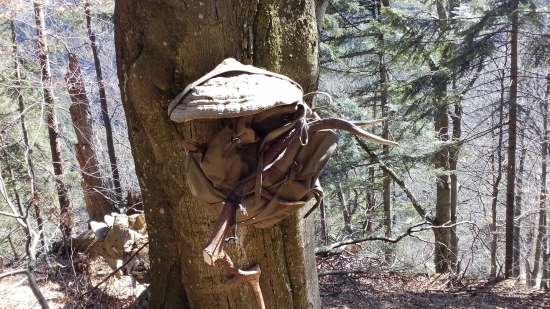 Oddych pod dáždnikom