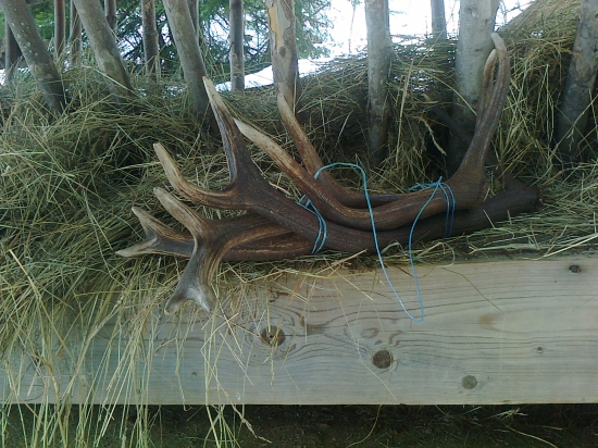 Spomienka na vlaňajšiu sezonu