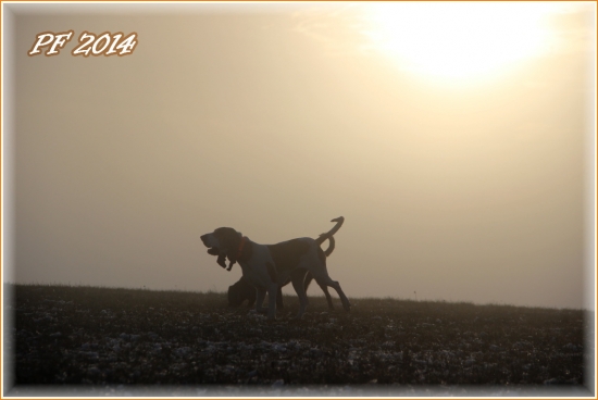 Šťastný Nový rok