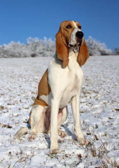 naše nejušatější