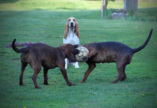 když si holky zahrají :-)