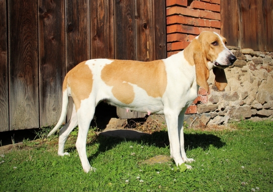 začínáme se kulatit