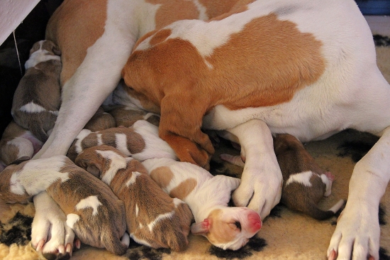 pokračování - jsme na světě II