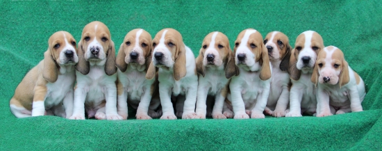 naše švycká sestava :-)