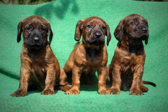 trochu jsme povyrostli :)