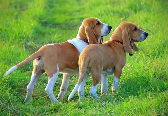 na první procházce